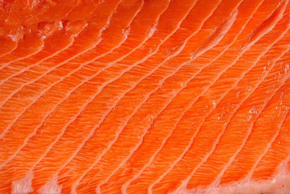 Galerie Mörk Salmon